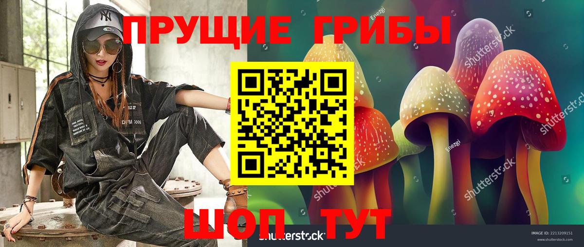Галлюциногенные грибы мицелий Елабуга